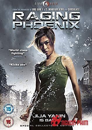 Phượng Hoàng Nổi Giận