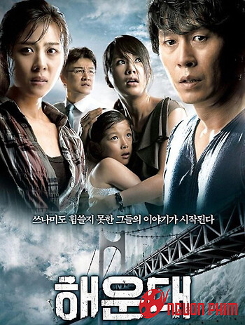 Sóng Thần Ở Hải Vân Đài