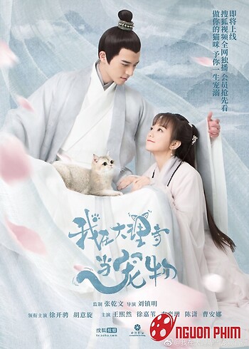 Ta Ở Đại Lý Tự Làm Sủng Vật