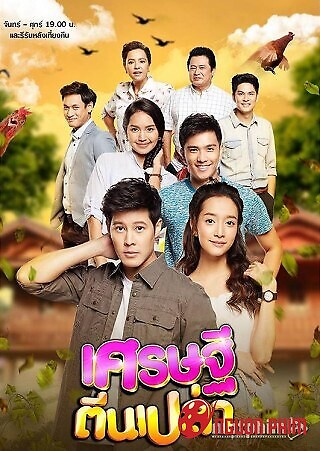 Triệu Phú Chân Trần