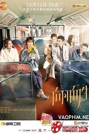 Hướng Về Mặt Trời