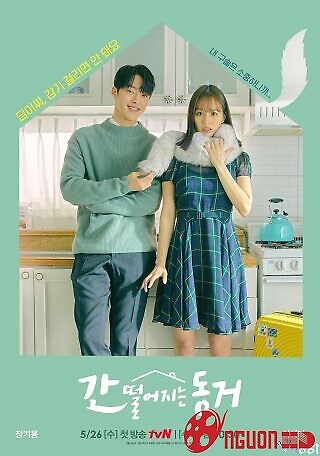 Bạn Cùng Phòng Của Tôi Là Hồ Ly