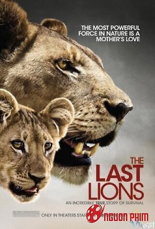 Bầy Sư Tử Cuối Cùng