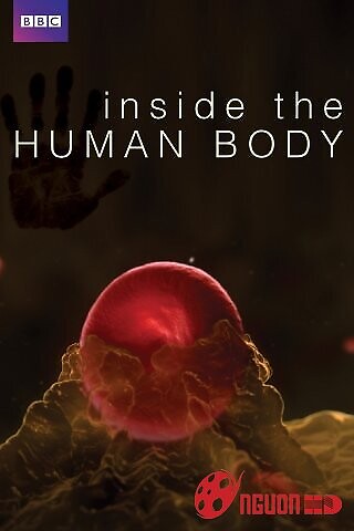 Bên Trong Cơ Thể Con Người