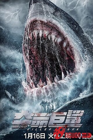 Cá Mập Sát Thủ