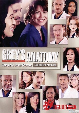 Ca Phẫu Thuật Của Grey 10