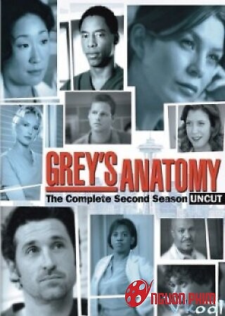 Ca Phẫu Thuật Của Grey 2