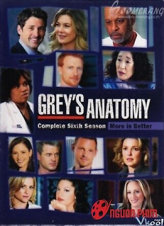 Ca Phẫu Thuật Của Grey 6