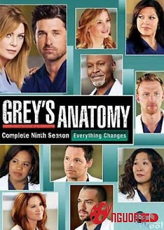 Ca Phẫu Thuật Của Grey 9