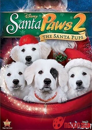 Câu Chuyện Về Santa Pups
