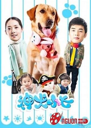 Chú Chó Siêu Anh Hùng