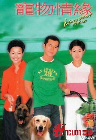 Chú Chó Thông Minh