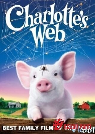 Chú Heo Chạy Trốn