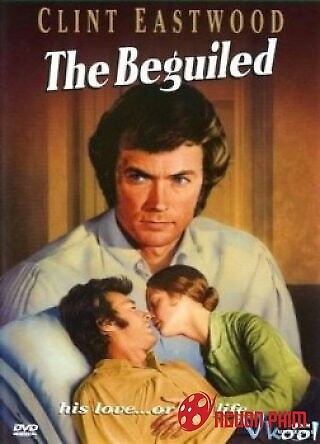 Chuột Sa Hũ Nếp