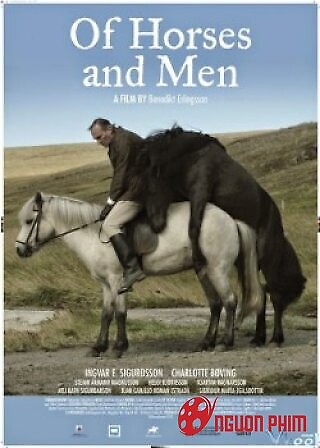 Chuyện Ngựa Và Người