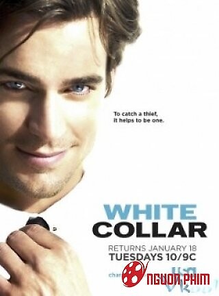 Cổ Cồn Trắng Phần 2