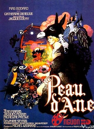 Công Chúa Da Lừa