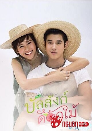 Công Tử Về Vườn