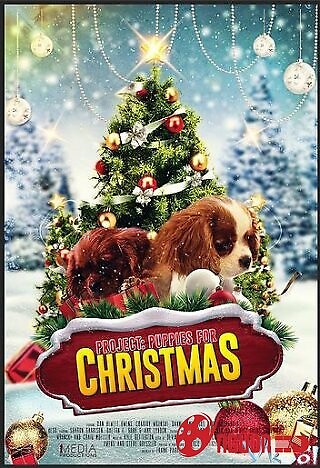 Cún Con Cho Giáng Sinh