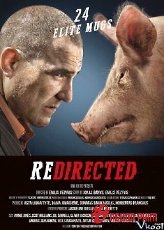 Cuộc Phiêu Lưu Bất Đắc Dĩ