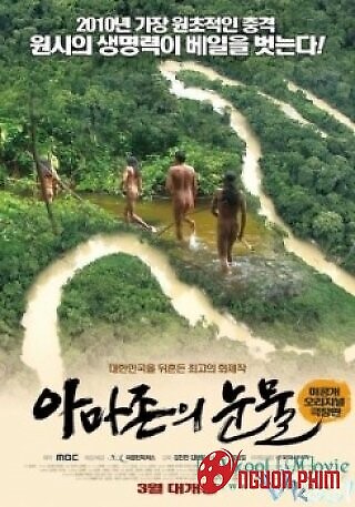 Cuộc Sống Của Cư Dân Cùng Amazon