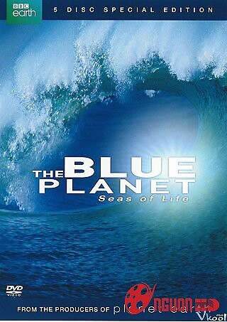 Đại Dương Sâu Thẳm