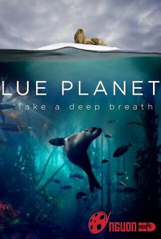 Đại Dương Sâu Thẳm 2