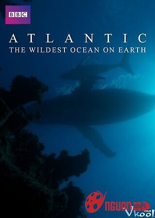 Đại Tây Dương: Đại Dương Hoang Dã Nhất