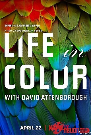 David Attenborough: Sự Sống Đầy Màu Sắc