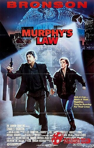 Đi Tìm Sự Thật