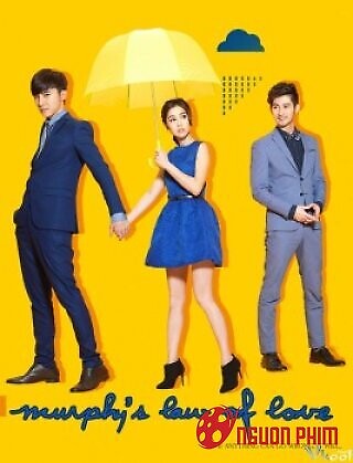 Định Luật Tình Yêu Của Murphy