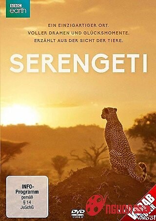 Động Vật Hoang Dã Châu Phi