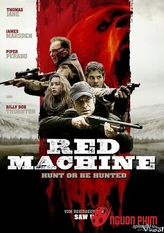 Gấu Xám Bắc Mỹ