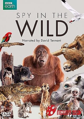 Gián Điệp Trong Hoang Dã