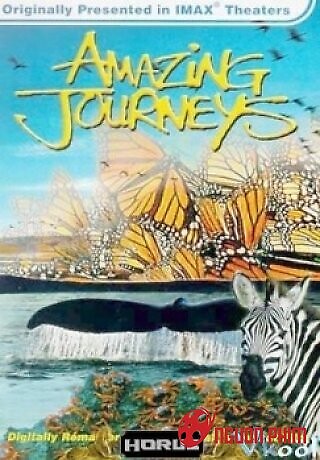 Hành Trình Kinh Ngạc