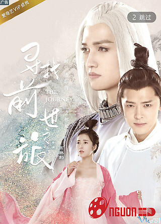 Hành Trình Tìm Kiếm Kiếp Trước