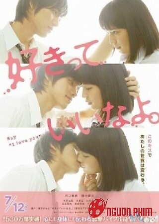 Hãy Nói Em Yêu Anh