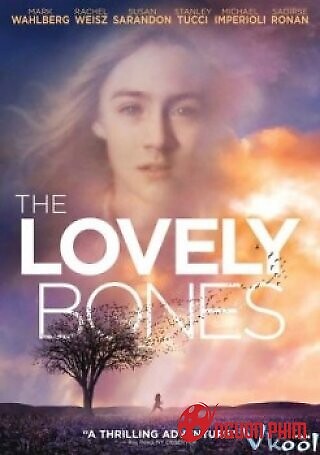 Hình Hài Dấu Yêu