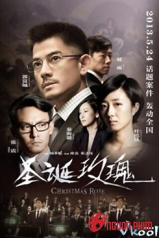 Hoa Hồng Giáng Sinh