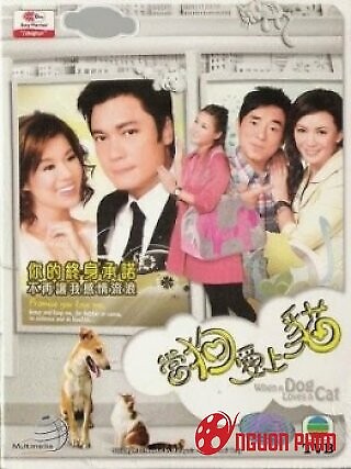 Khi Chó Yêu Mèo