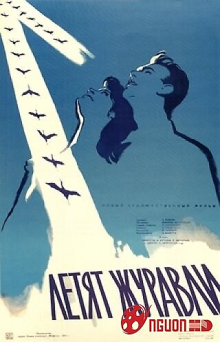 Khi Đàn Sếu Bay Qua