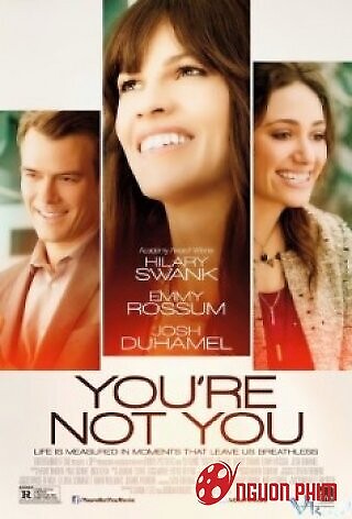 Không Phải Là Bạn