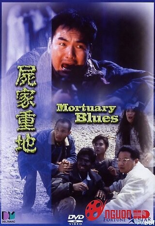 Khu Vực Xác Ướp