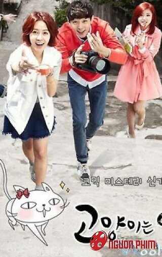 Mèo Cưng Em Ở Đâu