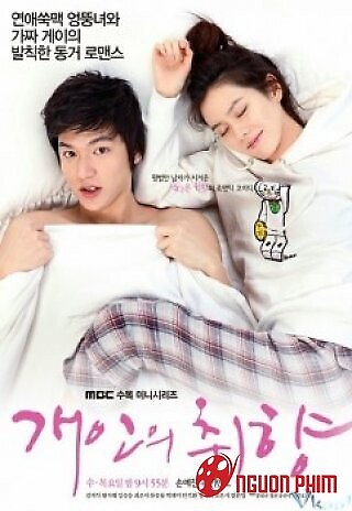 Nàng Ngốc Và Quân Sư