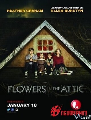 Những Bông Hoa Trên Tầng Áp Mái