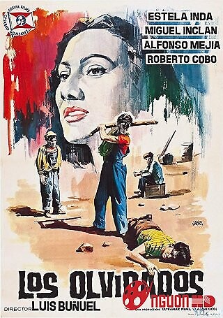 Những Đứa Trẻ Lang Thang