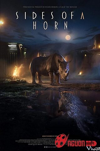 Những Mặt Trái Của Một Chiếc Sừng