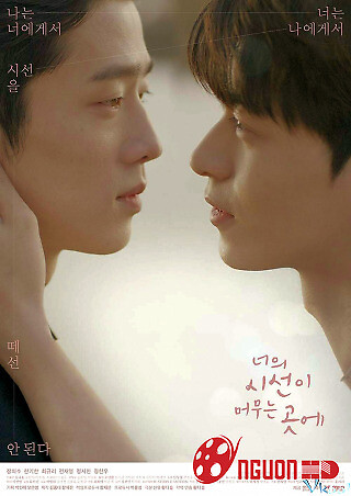 Nơi Ánh Mắt Anh Dừng Lại