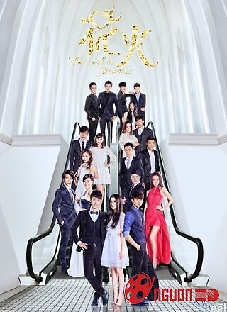 Pháo Hoa Rực Rỡ